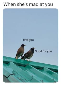 AmIABird