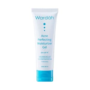 Acne Perfecting Moisturizer Gel