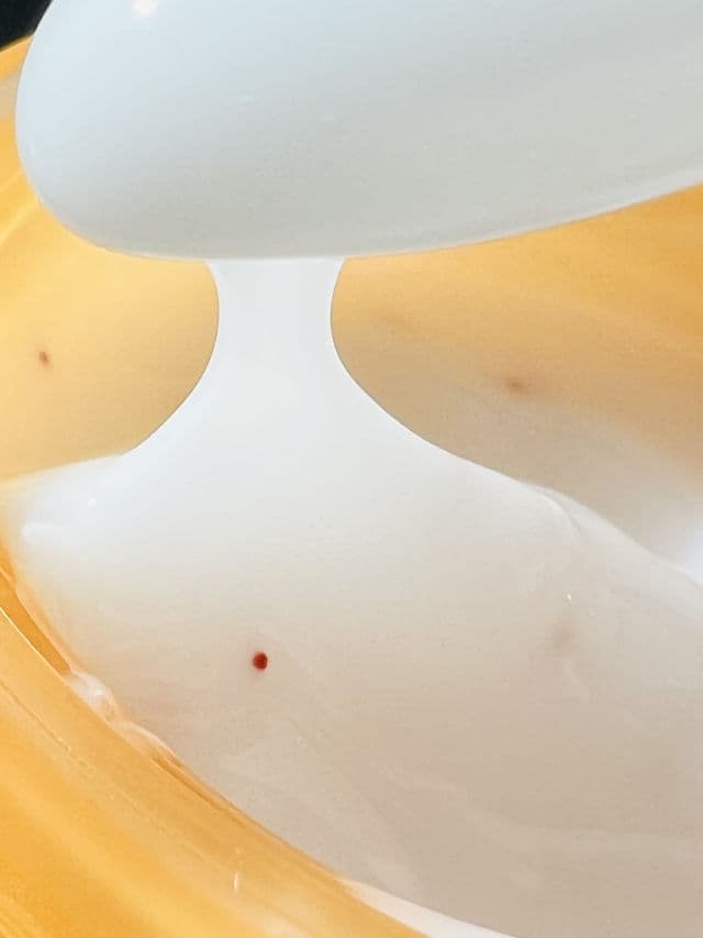 The Skin House Vita Snail Cream review photo by Binci