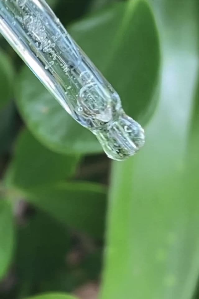 Round Lab 1025 Dokdo Ampoule review photo by HayGrooves