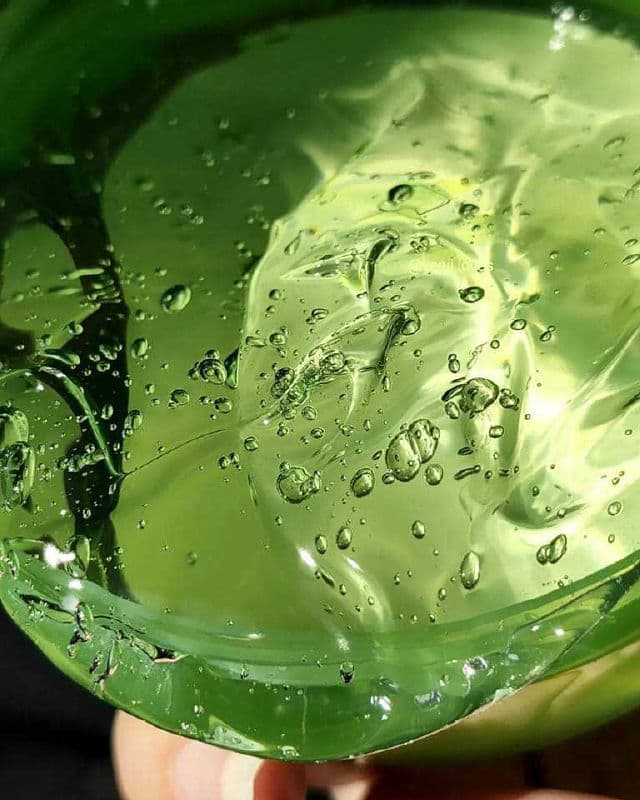 ESFOLIO Aloe Vera Moisture Soothing Gel review photo by YeniiLoves