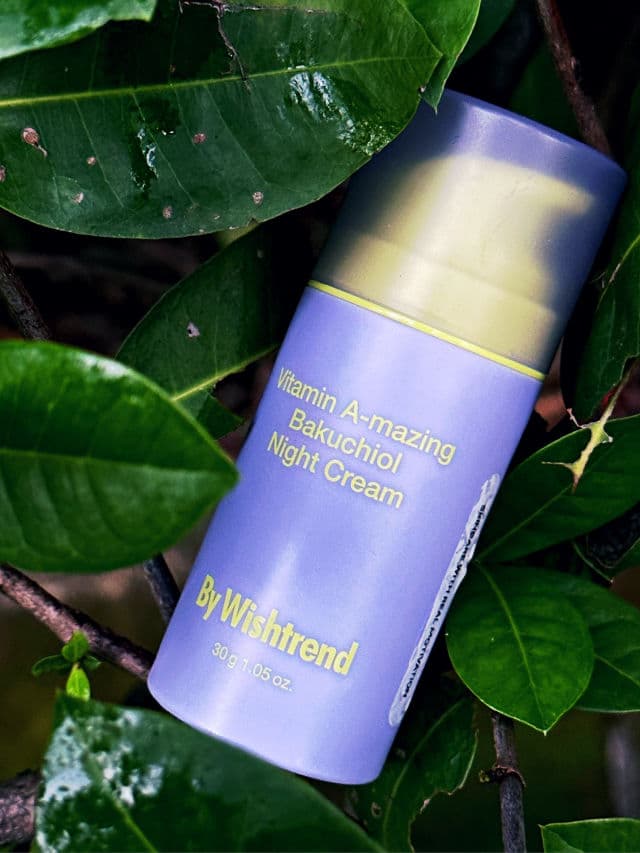 By WISHTREND Vitamin A-mazing Bakuchiol Night Cream review photo by RBme