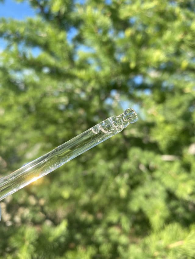ISNTREE TW-Real Bifida Ampoule review photo by Glowyforever