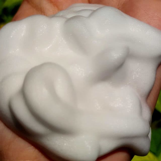 For Skin's Sake Restore - Gentle Cleansing Foam review photo by sxkahijau