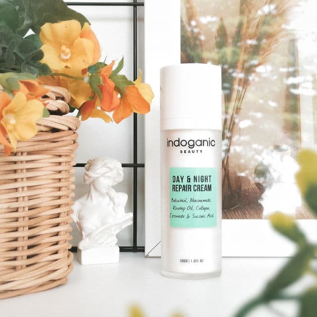 Indoganic Day & Night Repair Cream review photo by HilalAfandi