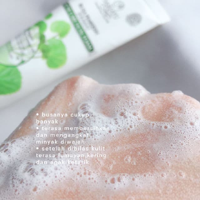Sariayu Acne Facial Foam review photo by noobeauties